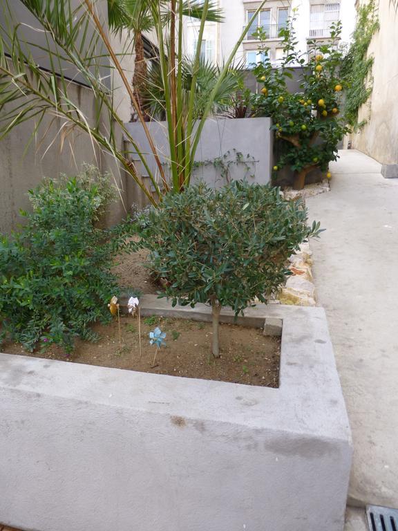 L'Orangeraie Et La Palmeraie D'Endoume Marseille Exteriör bild